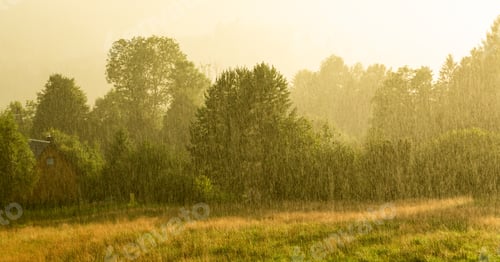 Preview: Rainy landscape with sunset during summer