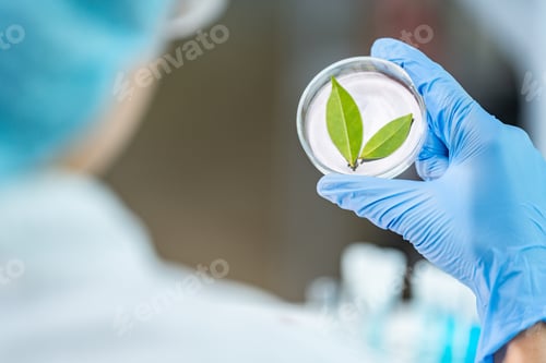 Preview: researcher working in laboratory for medicals science research using scientific equipment technology