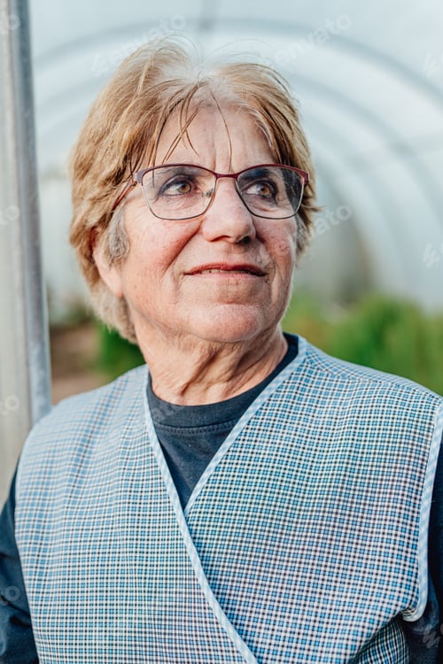 Preview: Very old woman working in her greenhouse and grows tomatoes. Hobbies for the elderly concept.