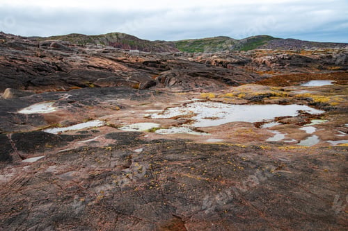 Preview: shore of the northern ocean is made of stones covered with colorful moss and a view of the mountains