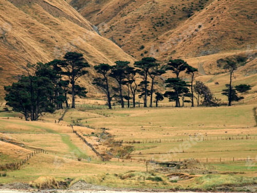 Preview: Marlborough Sound, New Zealand