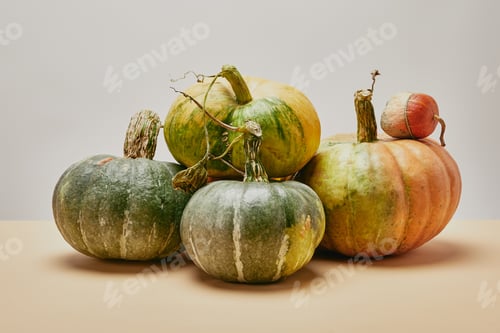 Preview: autumnal harvest of different green pumpkins on table