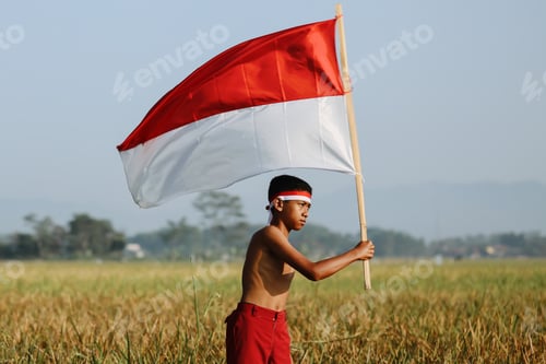 Preview: Boy in Field Waving Red and White Flag