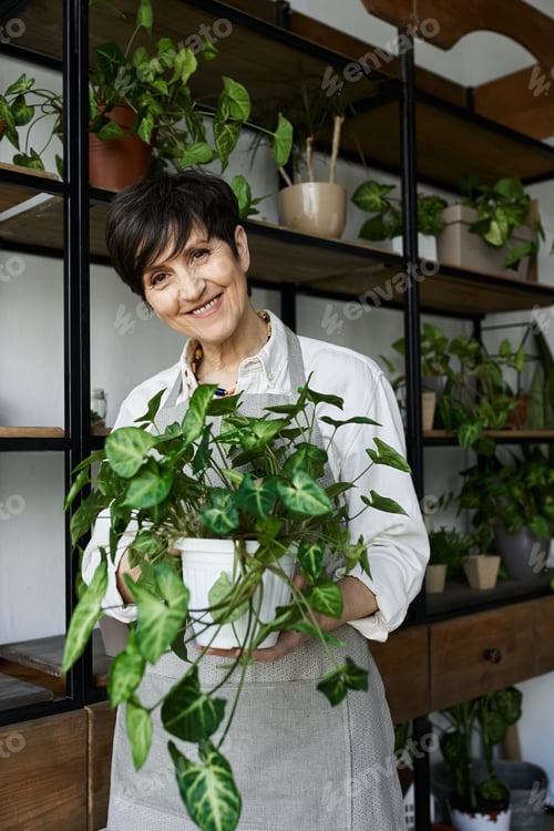 Preview: Mature woman nurtures her thriving plants in a bright and cozy artist's studio