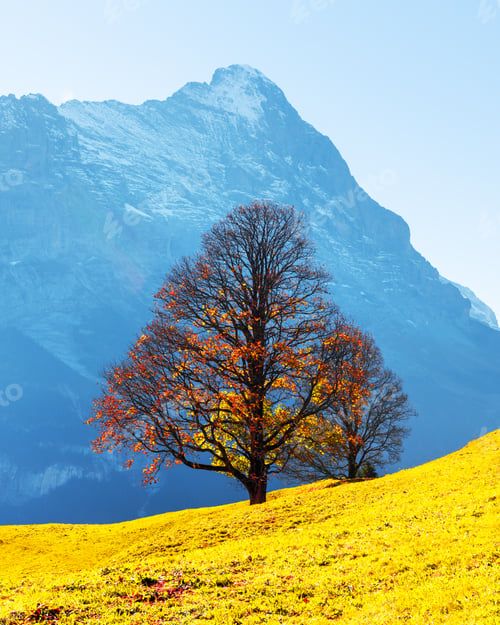 Preview: Picturesque autumn landscape in Grindelwald village
