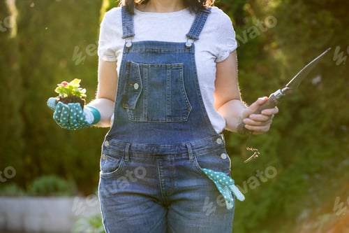 Preview: Young woman watering plants in the garden at summer sunny day. Gardening concept