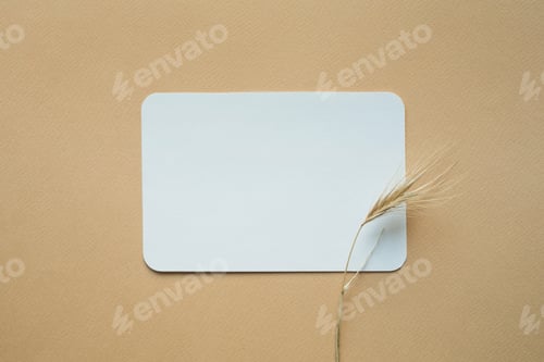 Preview: Blank white business greeting card mockup, cereal dried flower on beige backgound.