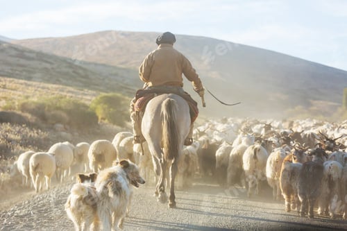 Preview: Gaucho