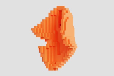 Preview: Twisted Shell Voxel Sculpture