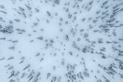 Preview: Drone shot of people trekking in a snowy forest in Lapland, Finland