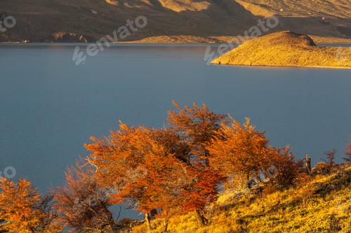 Preview: Autumn in Perito Moreno