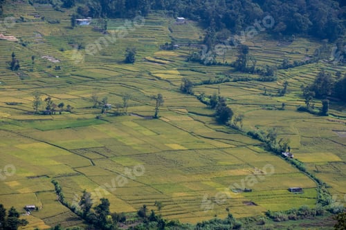Preview: Terrace Farming Nepal