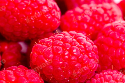 Preview: Heap of Raspberries