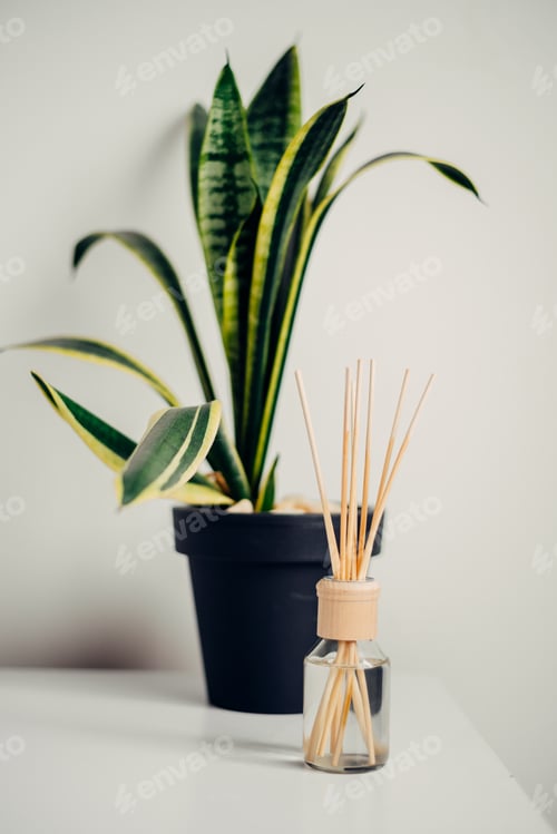 Preview: Aroma sticks in glass bottle. Wooden aroma sticks in a glass flask