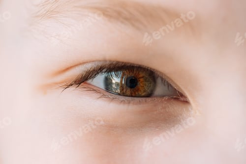 Preview: Green-brown eye of a boy close-up