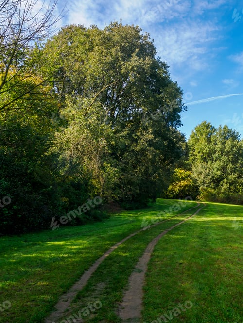 Preview: The park known as Parco Nord at Milan, Italy, in October