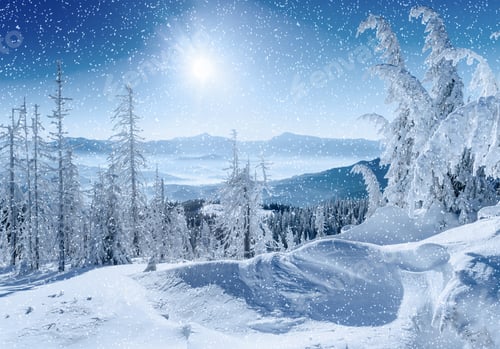Preview: Winter tree in snow. Carpathian Ukraine Europe