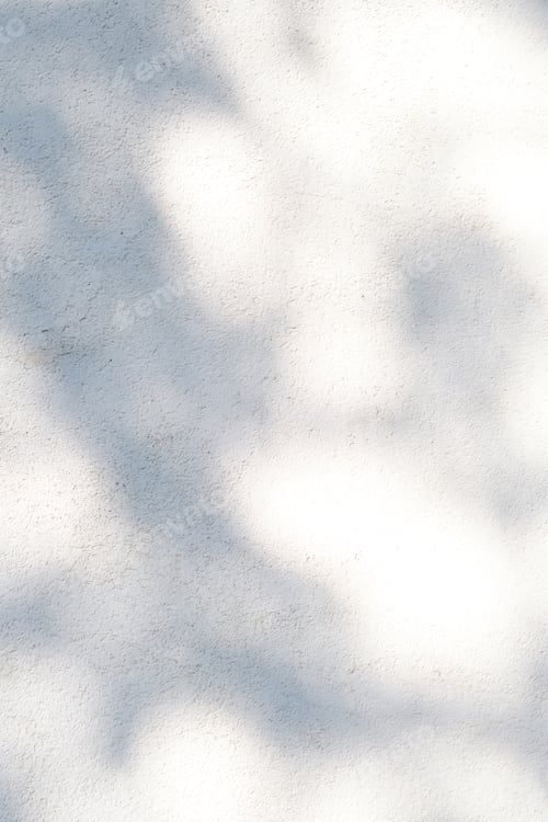 Preview: A wall with shadows from leaves. Abstract background.