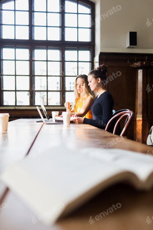 Preview: Young friends using laptops at table in cafe