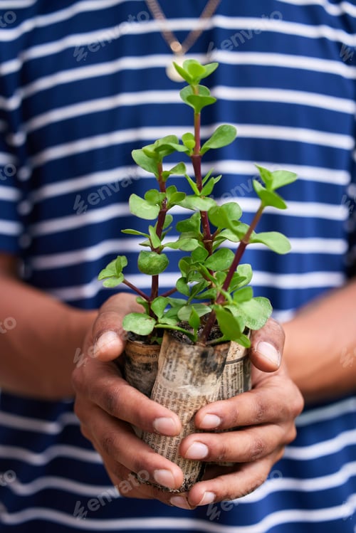 Preview: Hope of the world in the palm of my hands.Cropped shot of a young man holding a pot plant.