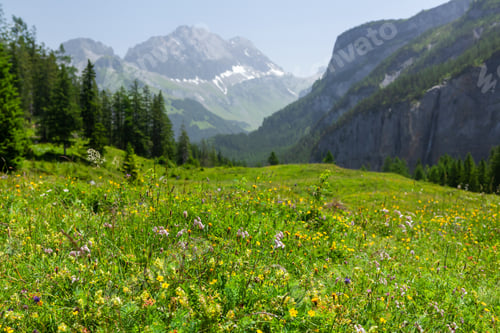 Preview: Panoramic view of green alpine meadows and mountains