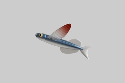 Preview: Cartoon flying fish fauna asset