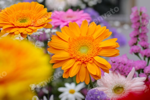 Preview: Beautiful flower bouquet, Flower background.
