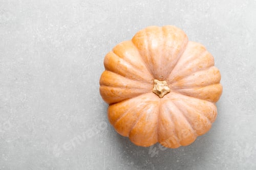 Preview: Fresh raw whole butternut squash, copy space for text, top down view