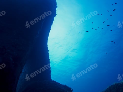 Preview: underwater background with small fish and rocks