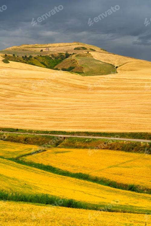 Preview: Country landscape in Basilicata, Italy, at summer