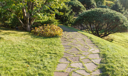 Preview: Cottage garden with green lawn, trees and trimmed bushes.