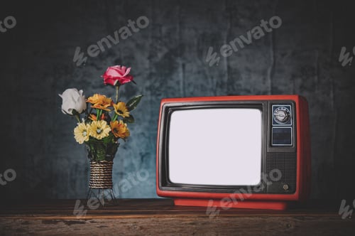 Preview: Old retro TV It's still life with flower vases.