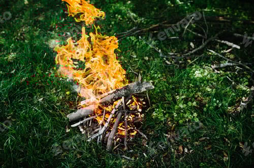 Preview: Campfire on the nature