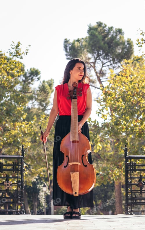 Preview: Female musician with her cello.