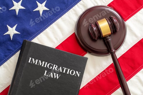 Preview: Judge gavel and Immigration Law book on United States of America flag.
