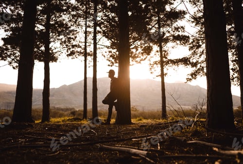 Preview: Man Leans Against Tree in Forest at Sunset