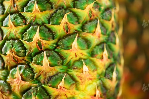 Preview: Texture of pineapple skin. Copy space. Beauty and diet concept. Macro shoot of pineapple fruit