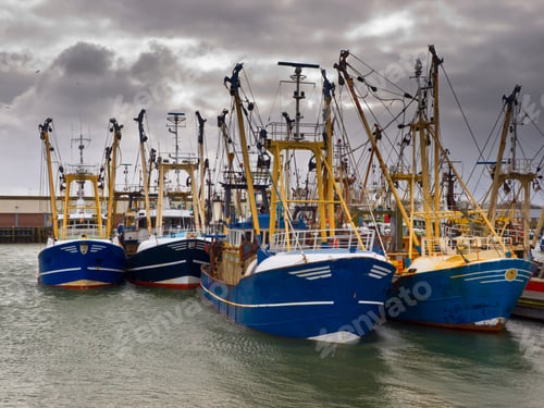 Preview: modern fishing fleet