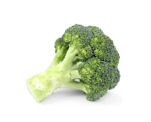 Preview: Fresh green broccoli on white background. Organic food