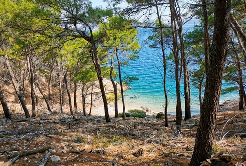 Preview: Beautiful secluded beach in cove surrounded by trees. Turquoise color transparent sea water.