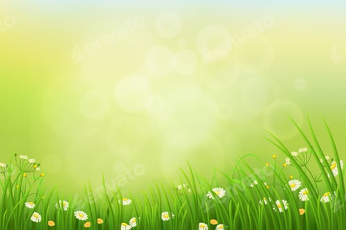 Preview: Meadow-02