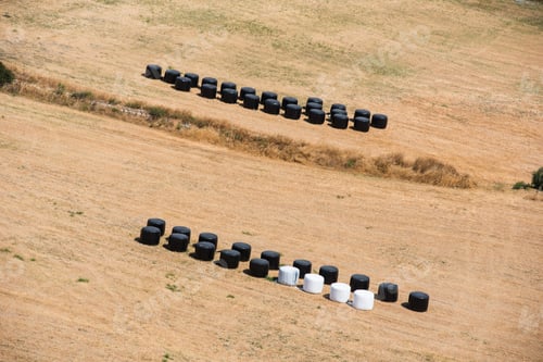 Preview: Strawbales in plastic wrap on agricultural field