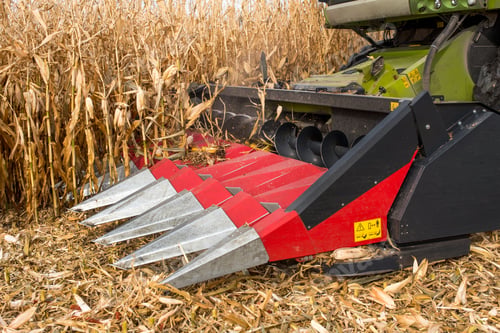 Preview: combine red harvester close up working in a corn field during harvest