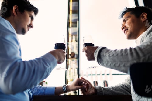 Preview: Low angle view of gay couple toasting red wine glasses at bar counter