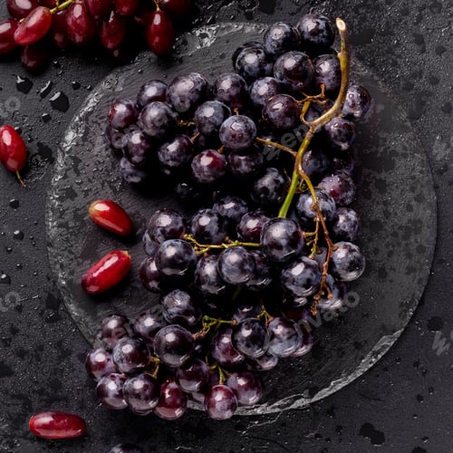 Preview: Close up of eco juicy dark blue grape on black