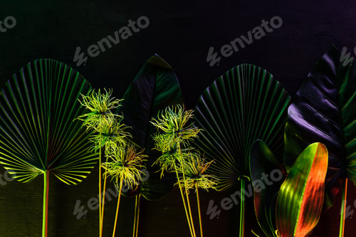 Preview: top view of various tropical leaves placed in row with red lighting