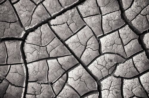 Preview: Dry ground