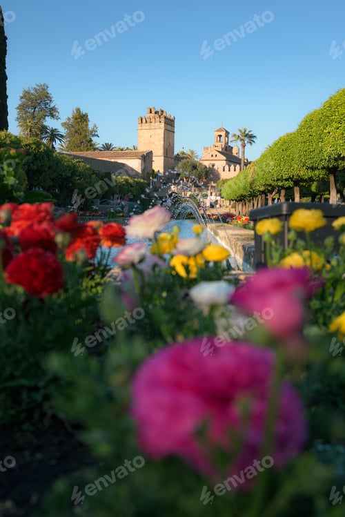Preview: Outside garden of the Alcazar of Cordoba, Andalusia, Spain