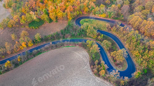 Preview: Aerial view of a scenic road meandering through a lush forest