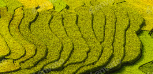 Preview: Paddy rice terraces, green agricultural fields in countryside of mountain hills valley, Vietnam.